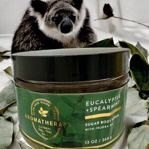 Bath & Body Works Aromatherapy Eucalyptus/Spearmint Body Scrub